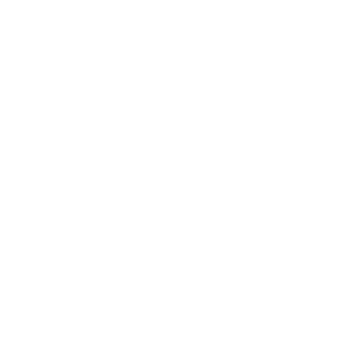 Camiseta Endless Ace Peak Silver