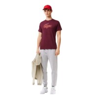 Maglietta Lacoste Sport Borgogna  Offerta + Economico