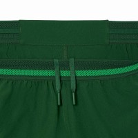 Short Lacoste Novak Djokovic Tenis Verde  Offer + Cheap